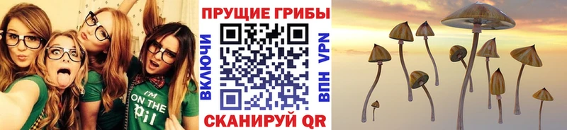Псилоцибиновые грибы ЛСД  Балахна 