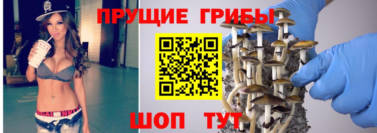 Галлюциногенные грибы Magic Shrooms Балахна