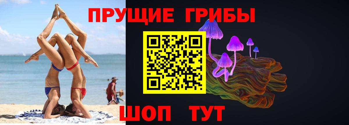 купить наркоту  Вход с VPN  Балахна  Псилоцибиновые грибы мицелий 