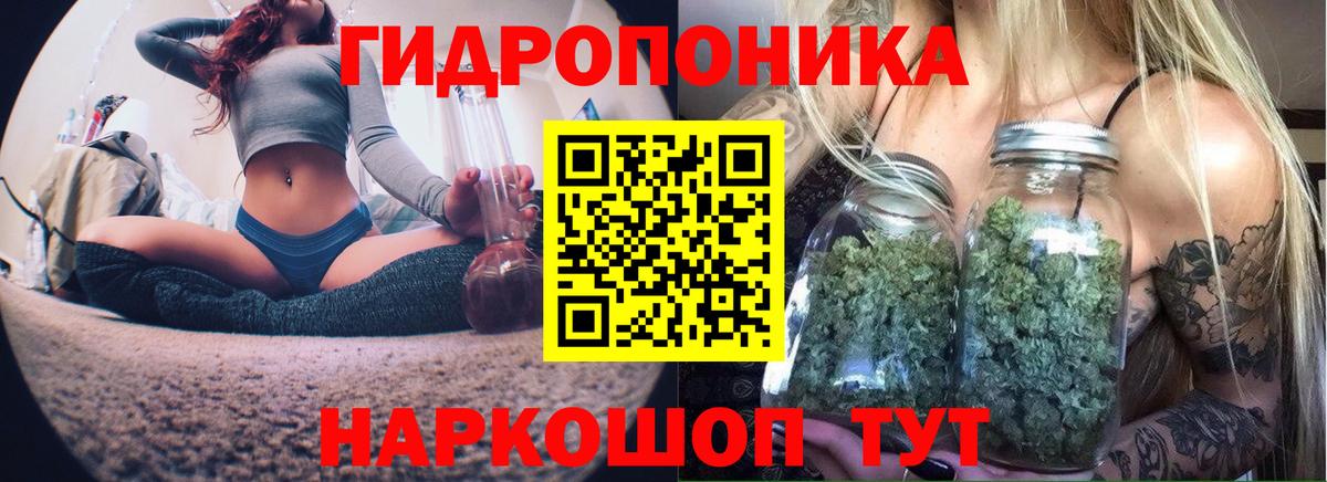 Марихуана SATIVA & INDICA  Бошки Шишки VHQ  Балахна  Конопля Ganja  Каннабис марихуана 